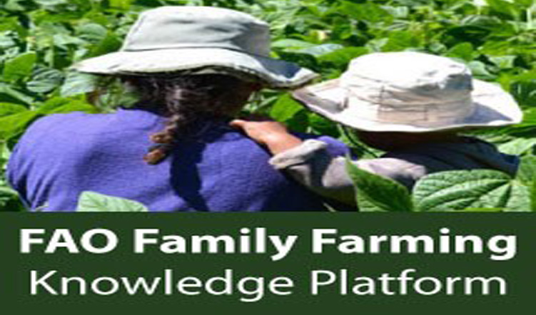 Family Farming Knowledge Platform – Data Overview