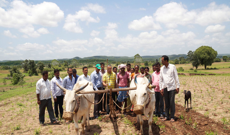 Enhancing tribal farmers’ incomes through value addition