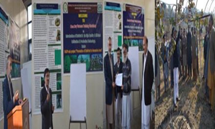 One Day Farmers Training Workshop on “Introduction of Kiwifruit – Its High Quality Production & Efficient Cultivation Technologies” at NTHRI Shinkiari Mansehra