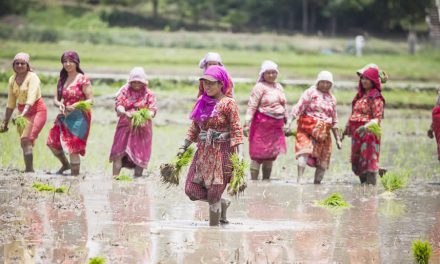 Women planting paddy in Nepal ©ICIMOD