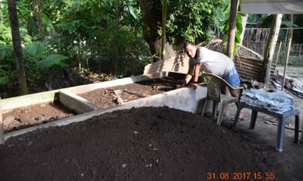 Reaping benefits through vermicomposting
