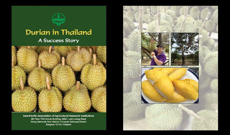 Durian in Thailand – A Success Story