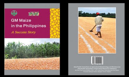 A success story on GM Maize in the Philippines