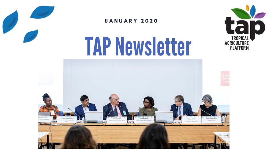 TAP Newsletter January 2020