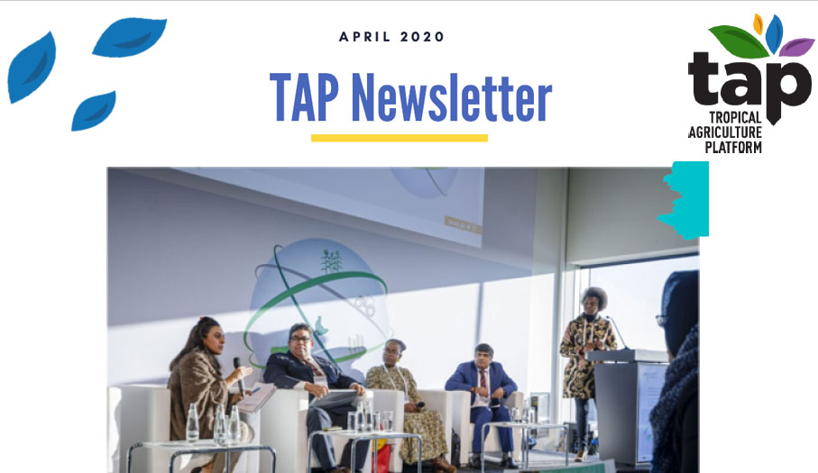 TAP Newsletter April 2020
