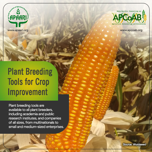 Plant Breeding Tools for Crop Improvement