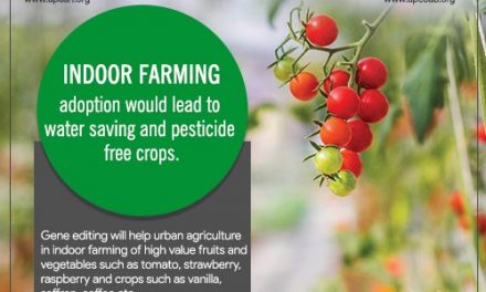 Indoor farming adoption would lead to water saving and pesticide free crops