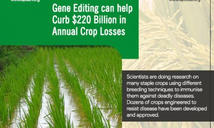 Gene editing can help curb $220 billion in annual crop losses
