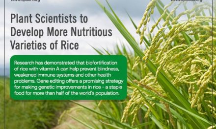 Plant Scientists to Develop more Nutritious Varieties of Rice