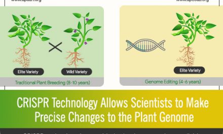 CRISPR Technology Allows Scientists to Make Precise Changes to the Plant Genome