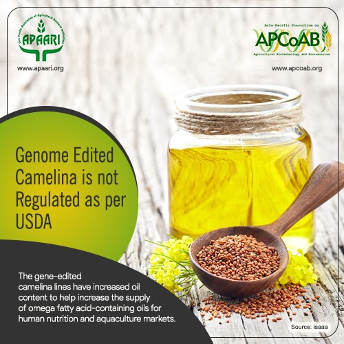 Genome edited Camelina is not regulated as per USDA