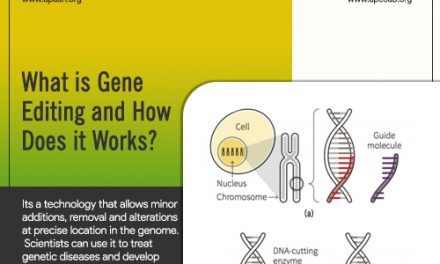 What is Gene Editing and How it Does it Works?