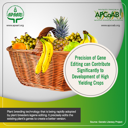 Precision of Gene Editing can Contribute Significantly to Development of High Yielding Crops.