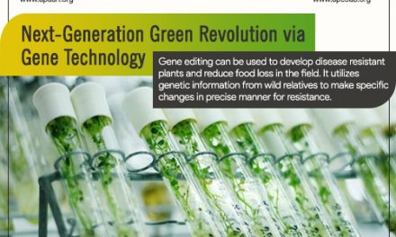 Next-Generation Green Revolution via Gene Technology