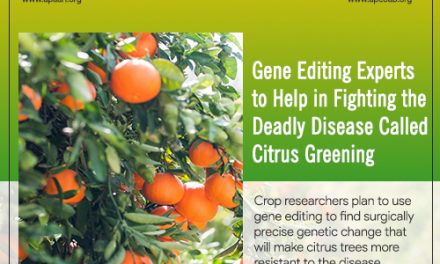 Gene Editing Experts to Help in Fighting the Deadly Disease called Citrus Greening