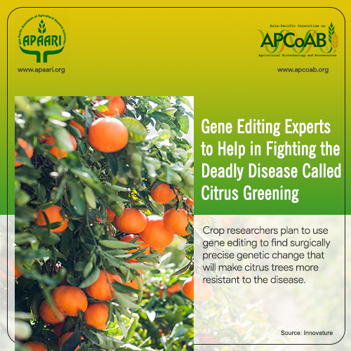 Gene Editing Experts to Help in Fighting the Deadly Disease called Citrus Greening