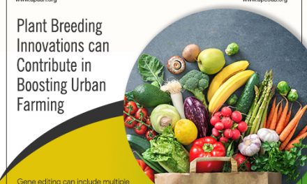 Plant Breeding Innovations can Contribute in Boosting Urban Farming