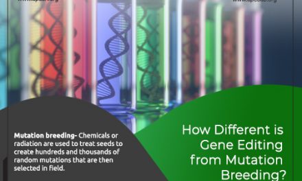 How different is Gene Editing from Mutation Breeding?