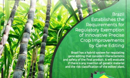 Brazil Establishes the Requirements for Regulatory Exemption of Innovative Precise Crop Improvements by Gene Editing