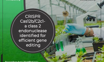 CRISPR Cas12b/C2c1- a Class 2 Endonuclease Identified for Efficient Gene Editing