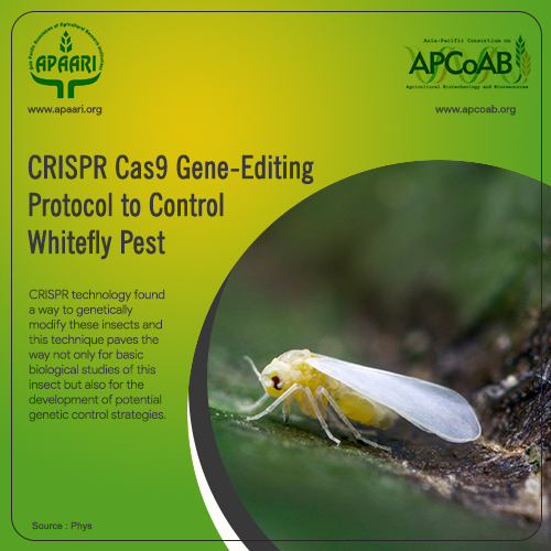 CRISPR Cas9 Gene-Editing Protocol to Control Whitefly Pest