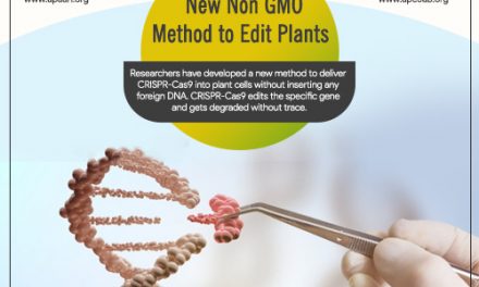 New Non GMO Method to Edit Plants