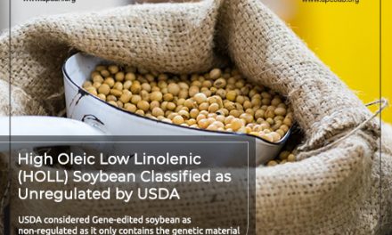 High Oleic Low Linolenic (HOLL) Soybean Classified as Unregulated by USDA