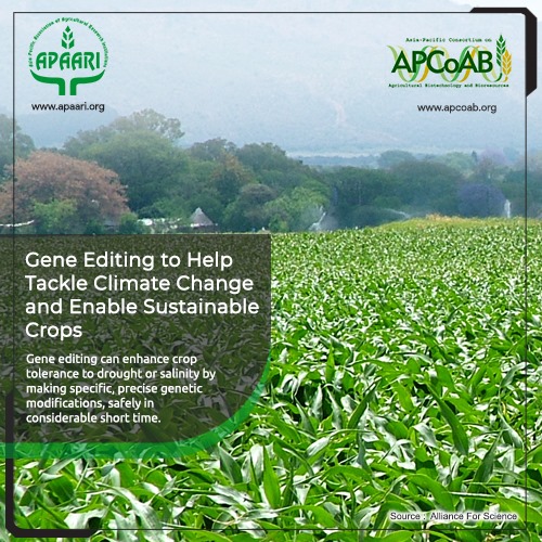 Gene Editing to Help Tackle Climate Change and Enable Sustainable Crops